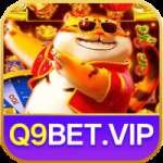 q9bet - VIP Elite